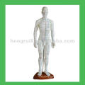 Chinese Human Acupuncture body Points 50cm Acupuncture Model